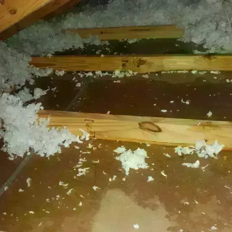 Attic Water Damage in Campbell, OH