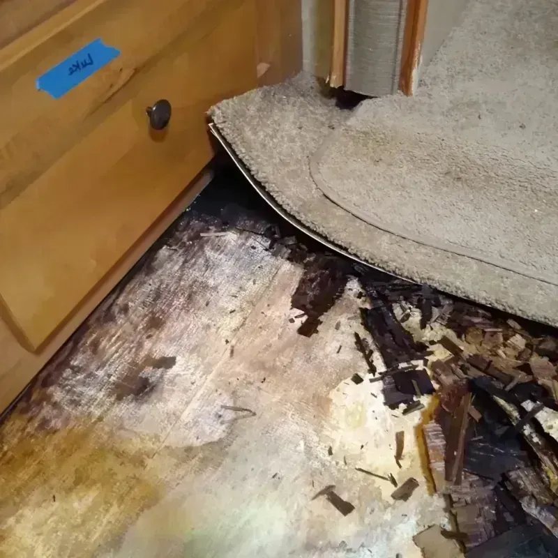 Best Wood Floor Water Damage Service in Campbell, OH